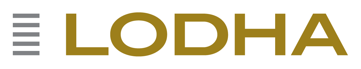 Developer 12